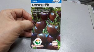 Афрочерри, томаты на любой вкус.