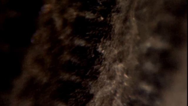 Эпс Гребенникова иследование подкрылок