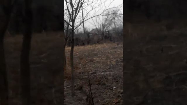 Дарг-Кох сити смотреть онлайн