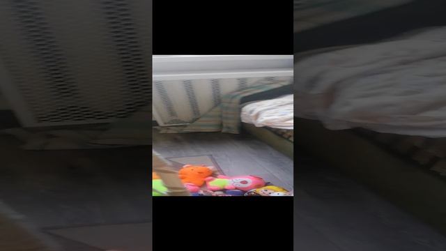 VID_20240815_185829.mp4