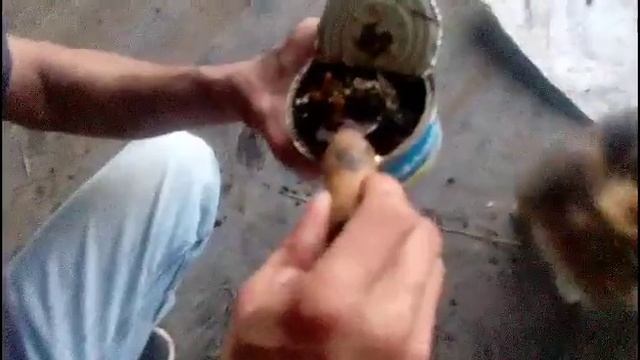 Открываем банку 42 года