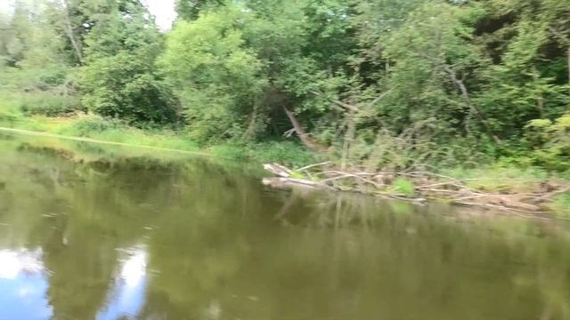 Ого, заплыл в лес и накопал серебра. Обзор новой лодки для копа 2022 и рыбалки! Кладоискатель Руся смотреть онлайн