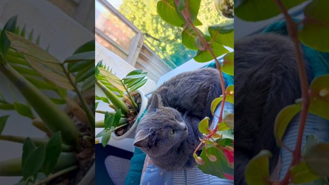 моя няшка ❤️