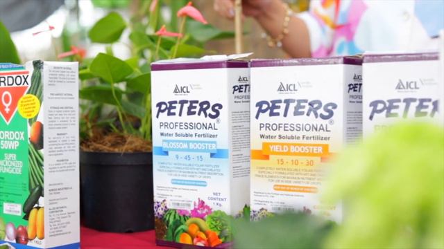 Peters Blossom Booster Product Review And Fertlizer Tutorial For Flowering Plants At  Girasoles Far