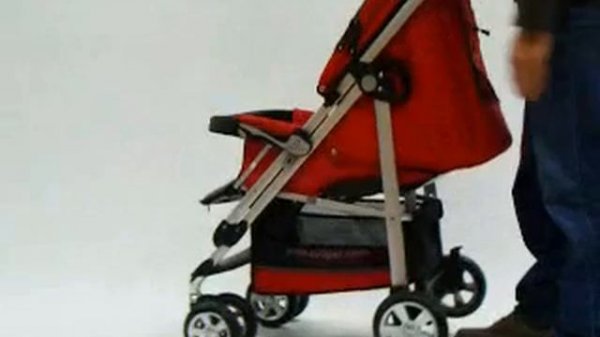 ZOOPER WALTZ張車(睿兒國際 教學影片)