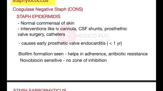 Gram positive cocci Coagulase Negative Staphylococcus (CoNS) | Microbio #bacteriology #microbiology смотреть онлайн