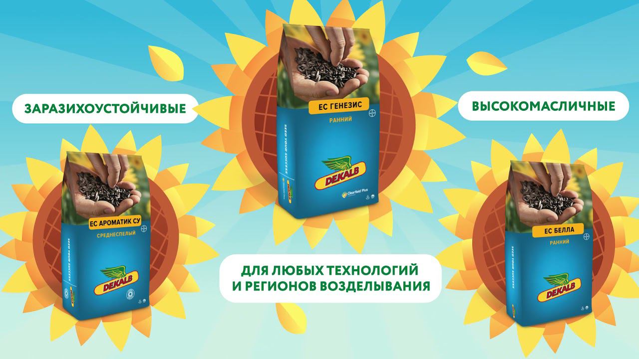 Big text смотреть онлайн