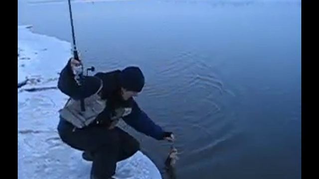 Щучка на воблер. Поймана и отпущена смотреть онлайн
