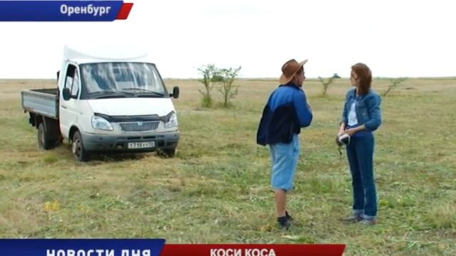 ПОРА СЕНОКОСА смотреть онлайн