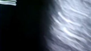 Уровень масла в редукторе виброплиты ZITREK