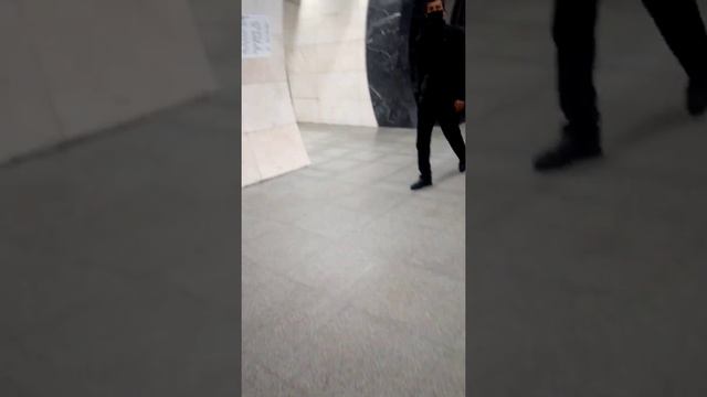 Обзор станции метро Савёловская БКЛ смотреть онлайн