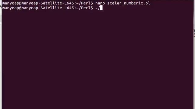 Perl Numeric Scalar Example смотреть онлайн