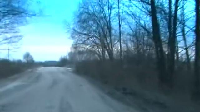 Воровство кабанов в Государственном Заказнике. Часть 2 смотреть онлайн