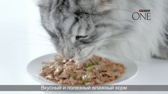 Purina ONE®