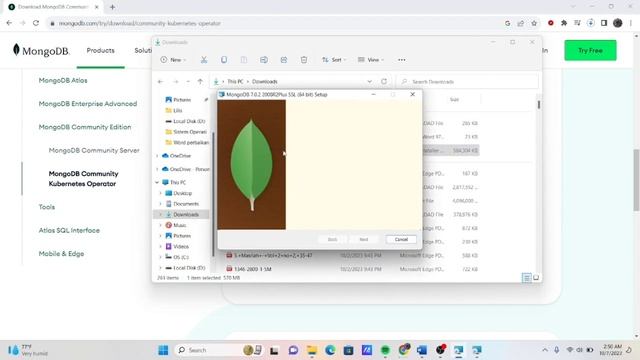 Tutorial cara download dan instal Mongodb di Windows смотреть онлайн
