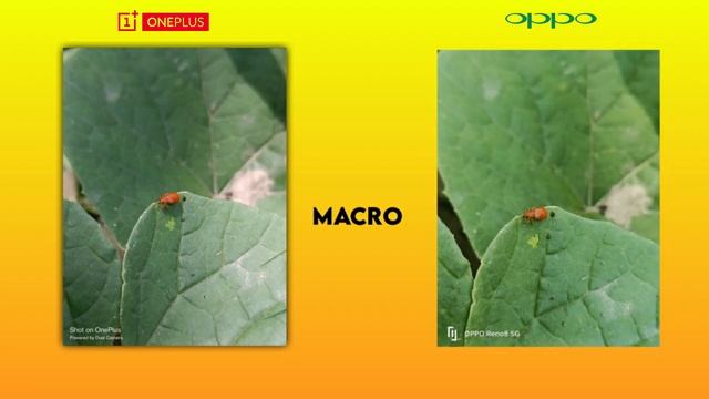 OPPO Reno 8 vs OnePlus Nord 2T Camera Comparison in Hindi || Asali Sach Sun Lo? смотреть онлайн