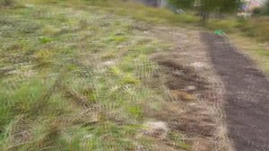 Как сделать почву АБСОЛЮТНО плодородной живой с нуля