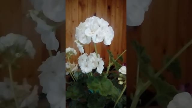 Как научиться брать Деньги у Вселенной? смотреть онлайн