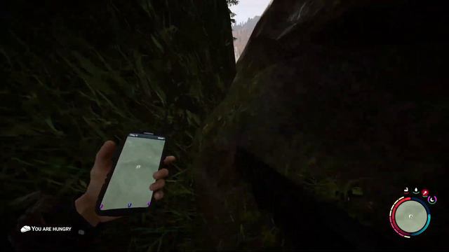 UNDER THE MAP GLITCH ON SONS OF THE FOREST!