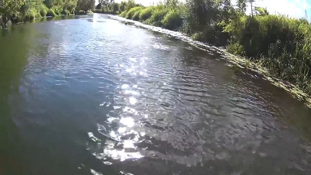 Невероятная атака щуки на голавля в момент вываживания! смотреть онлайн