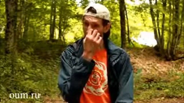 Андрей Верба. Для чего Вишну воплотился в образе Кришны. смотреть онлайн