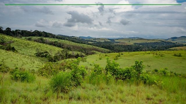 Rainforest sounds - Thunderstorm approaching in Central Africa смотреть онлайн