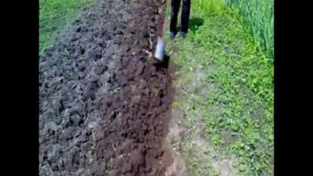 вятский пахарь сезоны