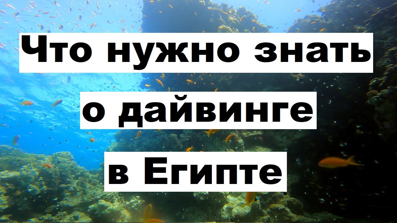 Дайвинг в Египте, Шарм-Эль-Шейх, Красное море, кораллы, подводный морской мир 2022 год