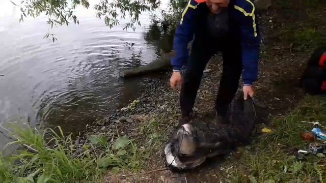 Моё новое видео / Рыбалка Подмосковье смотреть онлайн
