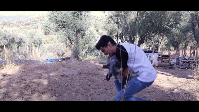 ÖLÜ GELİN MACERASI ÖLÜ GELİNİN LANETİ MERT SARI смотреть онлайн
