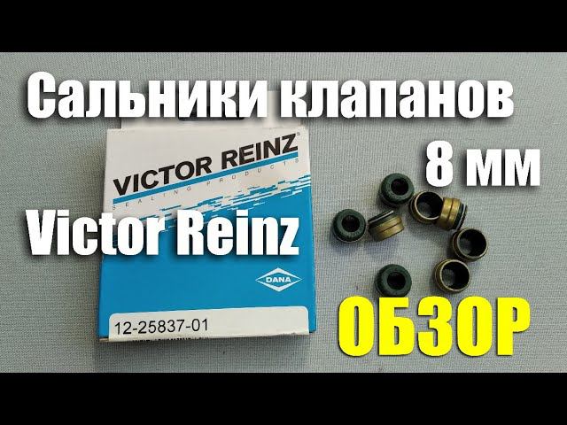 Обзор маслосъемных колпачков Victor Reinz Ø8 мм для ВАЗ-2101-07 (арт.12-25837-01) - ПОДДЕЛКА 50/50 смотреть онлайн