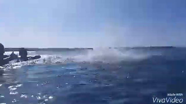 Ойно кул анткенит бул жаш курак смотреть онлайн