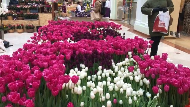 Сколько стоят цветы перед 8 марта?!)) ГУМ - бесплатный макияж!!! смотреть онлайн