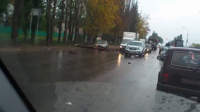 Липецк,коварные деревья смотреть онлайн