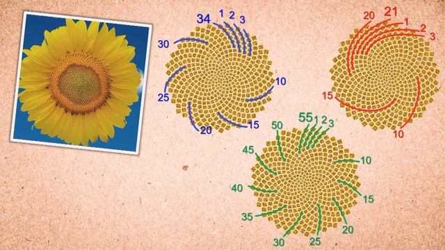 God Elohim: the Creator's Signature | World Mission Society Church of God смотреть онлайн