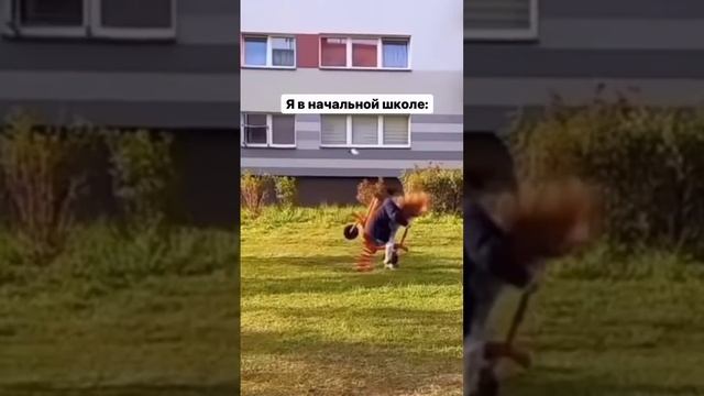 VID_68180510_083819_426.mp4 смотреть онлайн
