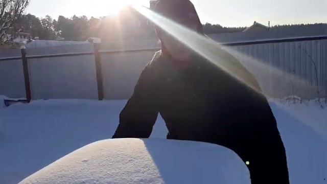 Зимовка пчёл на воле. Январь 2022