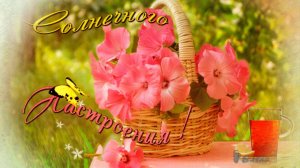Так смеется мое ЛЕТО  * С первым днем ЛЕТА, друзья  *    С Днём ЗАЩИТЫ ДЕТЕЙ  *