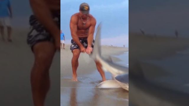 Этот Человек Боролся С Акулой, Чтобы Вернуть Руку Своего Племянника! смотреть онлайн