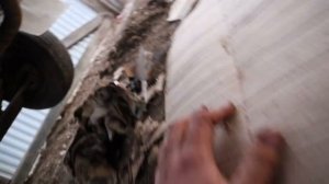 фусо файтер 92г 6д16. Замена масла в коробке, небольшое ТО