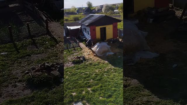 Кто-то на крыше. смотреть онлайн