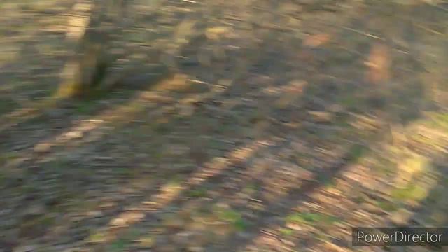 VLOG еду на дачуЧто случилось на даче?!