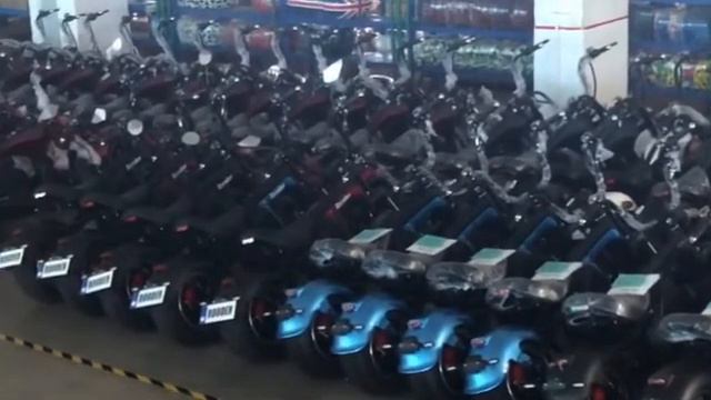 citycoco manufacturer citycoco electric scooter manufacturer смотреть онлайн