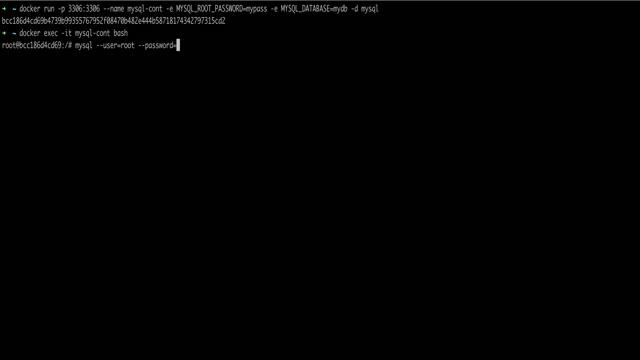 run mysql container смотреть онлайн