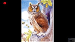 «Сказки на ночь» В. Бианки «Сова» Читает Никитина Людмила