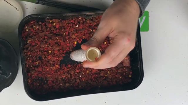 Как сделать ПВА стик для карповой рыбалки смотреть онлайн