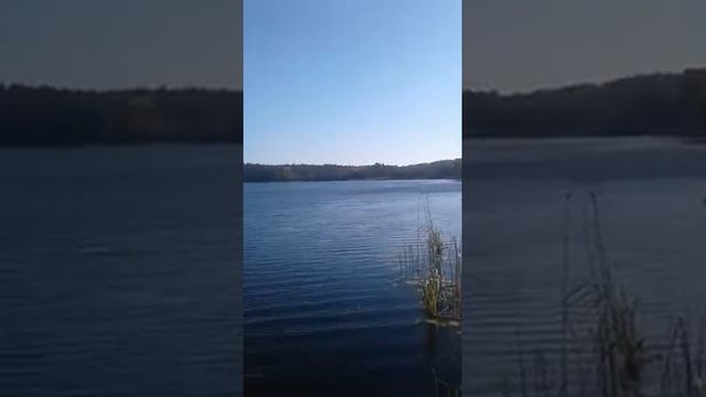 Жижица осенью смотреть онлайн