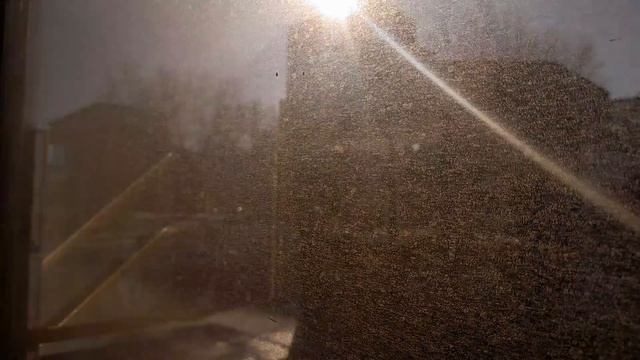 39 Троллейбус. Ст. м. Электросила - Ст. м. Купчино смотреть онлайн