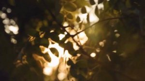 Месяц Шавваль или как поститься 365 дней в году.Посмотри если хочешь так..#ислам #сунна