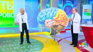 Жить здорово! Выпуск от 10.10.09.2022